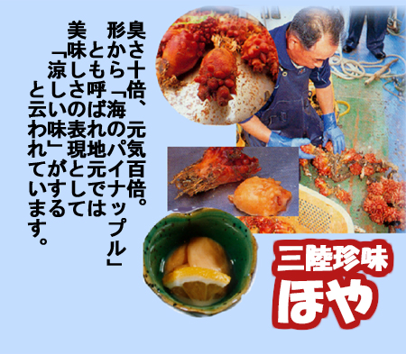 ほや